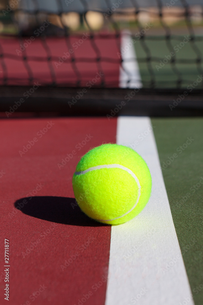 Tennis Ball and Net