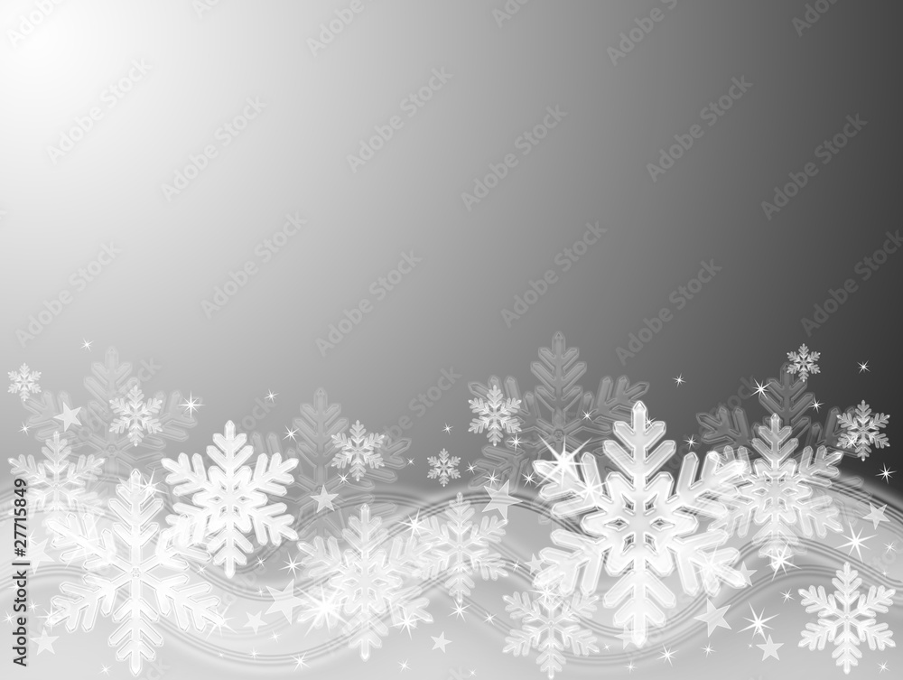 雪の結晶 雪の結晶