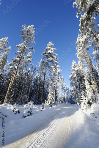 swedish winter scenery