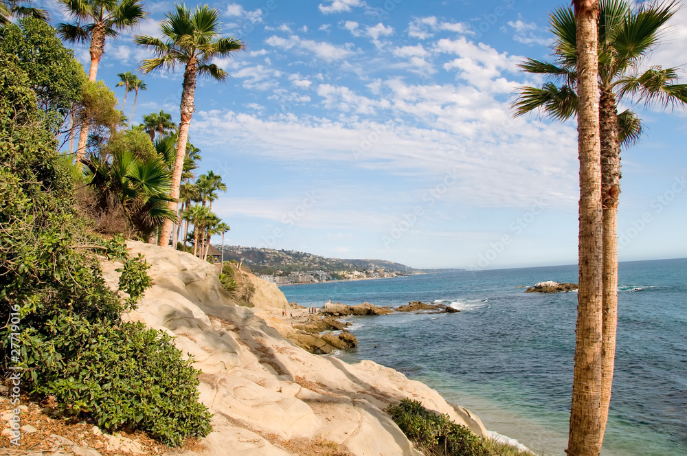 Beautiful View of the California Coast