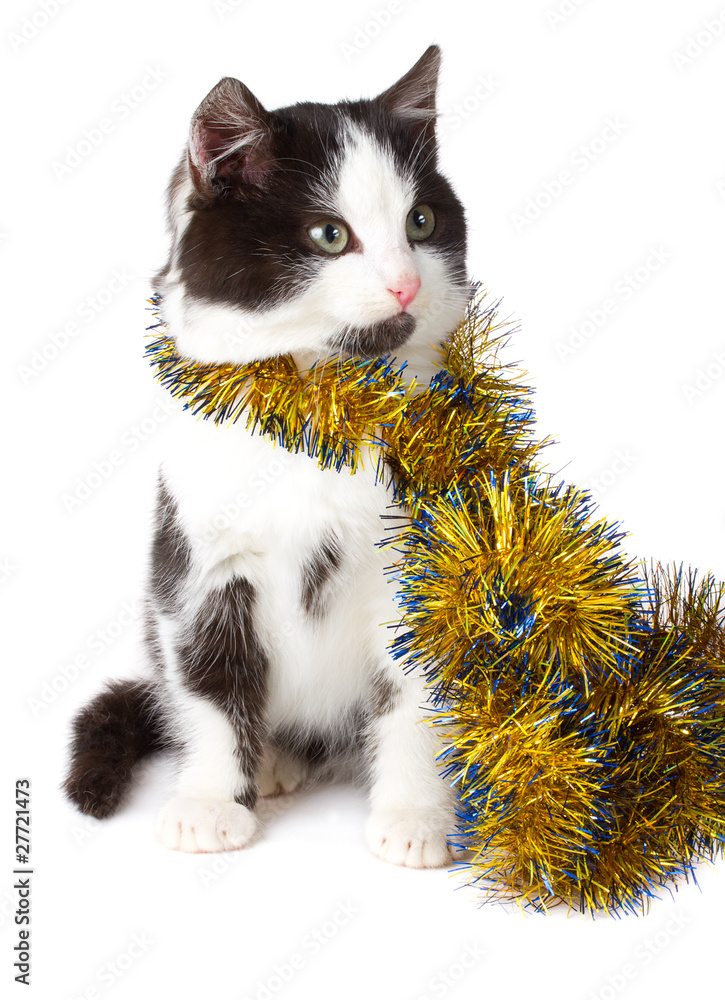 cat with garland