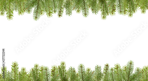 Εκτύπωση καμβά frame from firtree branches