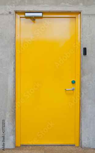 Security door