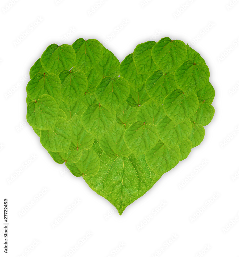Fototapeta premium Leaves Love Shape