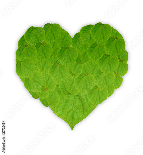 Fototapeta Naklejka Na Ścianę i Meble -  Leaves Love Shape
