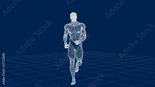 Male Human Wire