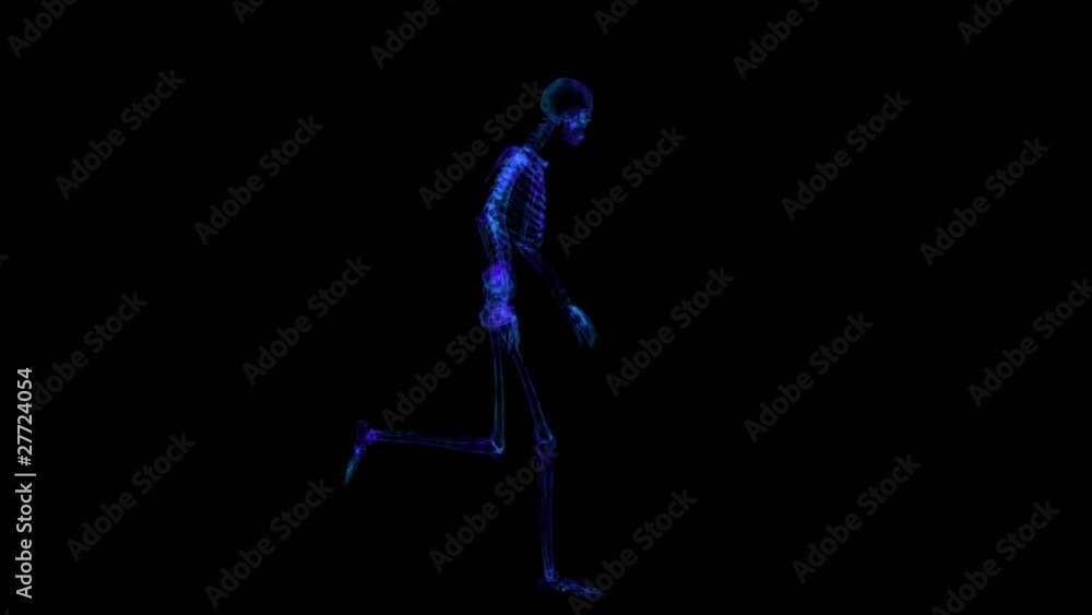Skeleton Running Skeleton Running