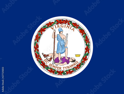 Virginia state flag photo