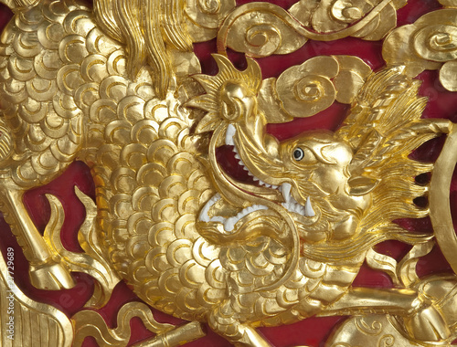 Chinese Golden Dragon