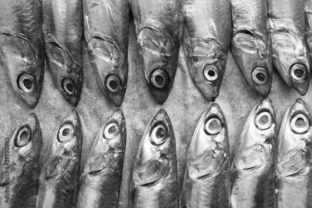Obraz premium Fresh Italian anchovies
