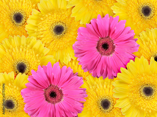 Abstract background of yellow and pink flowers