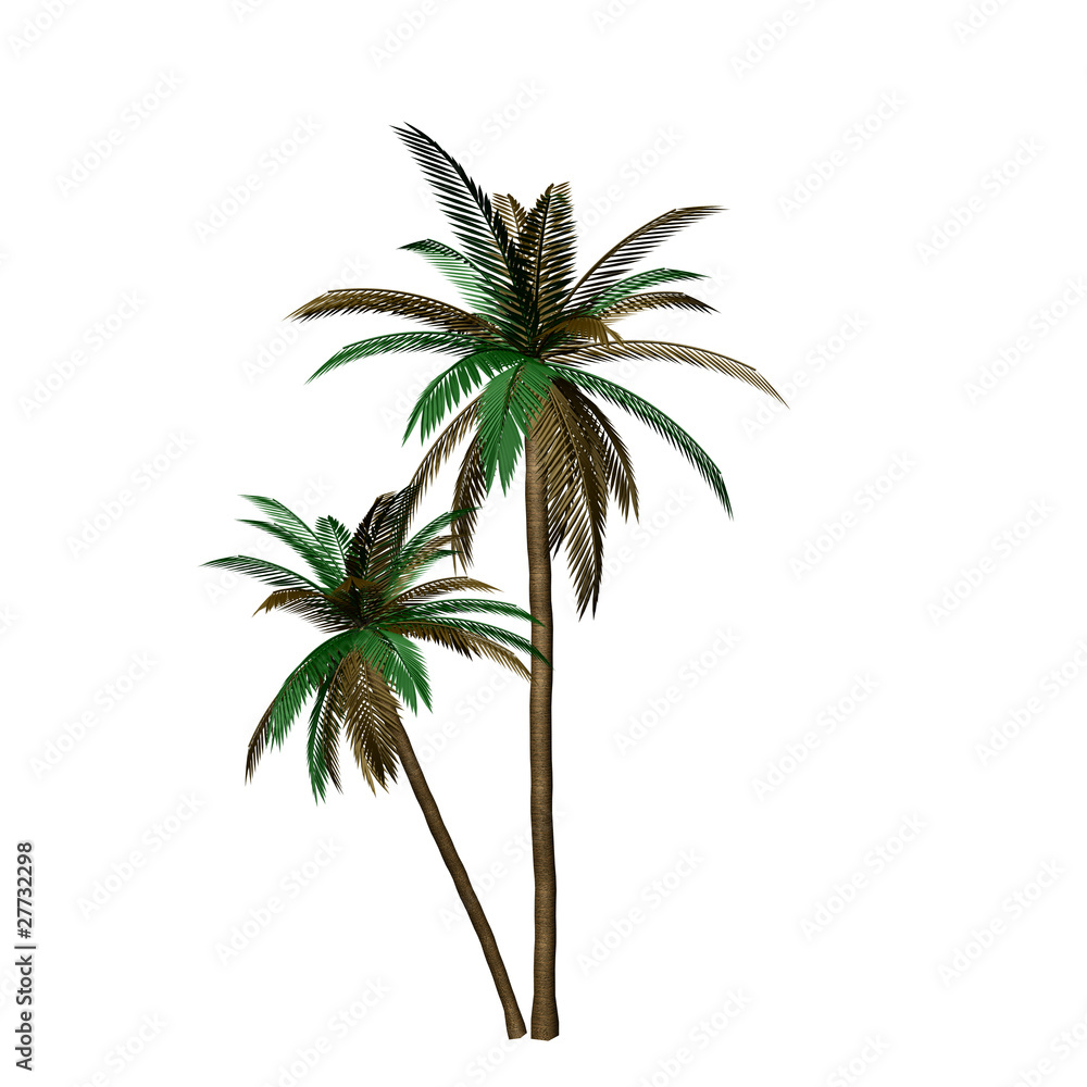 Obraz premium colorful palm