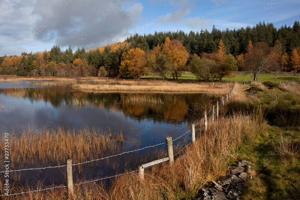 custom made wallpaper toronto digitalLyn Ty n-y-mynydd Reservoir