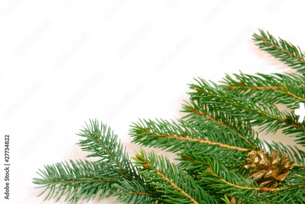 tannenbaum tannenbaum