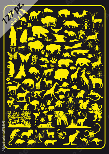 LinearGiallo