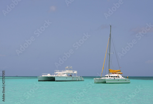 catamaran in saona beach photo