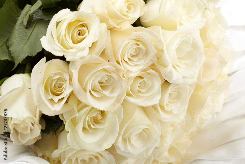 Obraz premium Kremowe róże