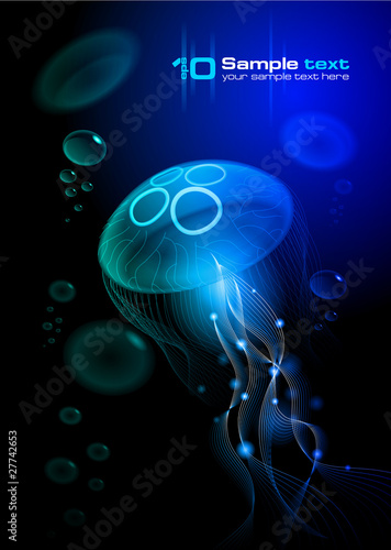 Jellyfish at the black background. Vector illustration EPS 10