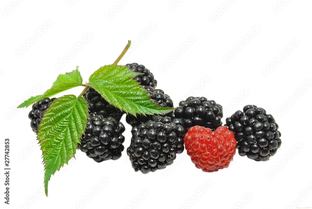 blackberries and raspberry with leaf blackberries and raspberry with leaf