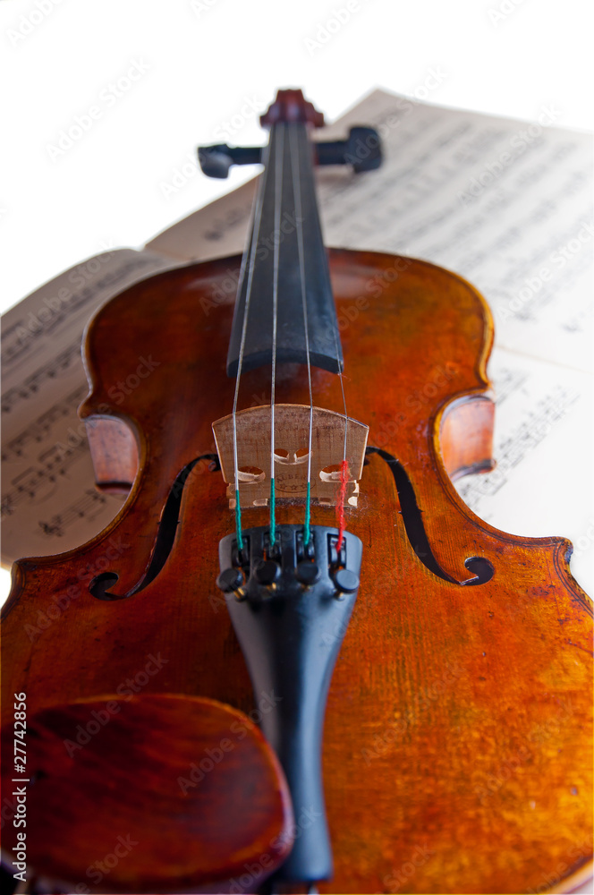 Fototapeta premium violin