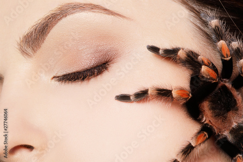Fotografi girl with spider