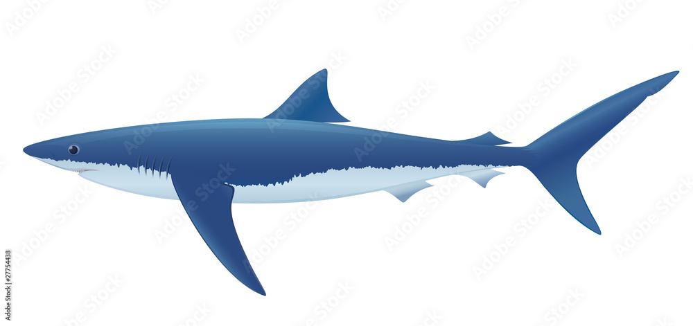Obraz premium Blue Shark. 