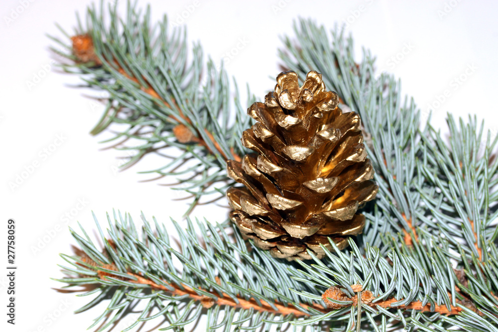 Gold pine cone Gold pine cone