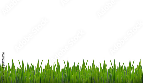 green grass with white background