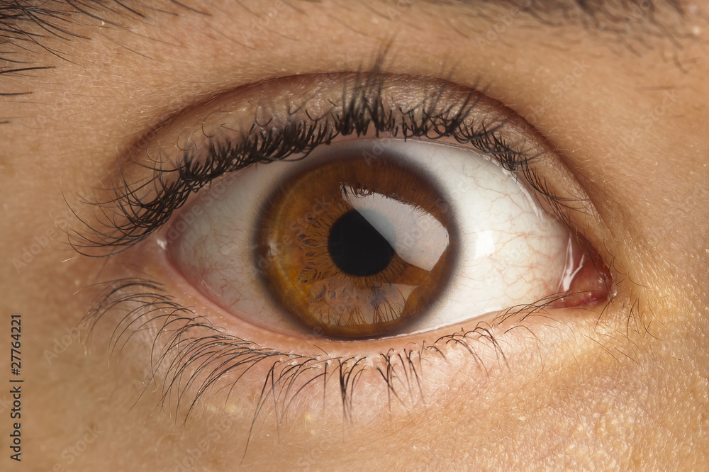 brown eye brown eye