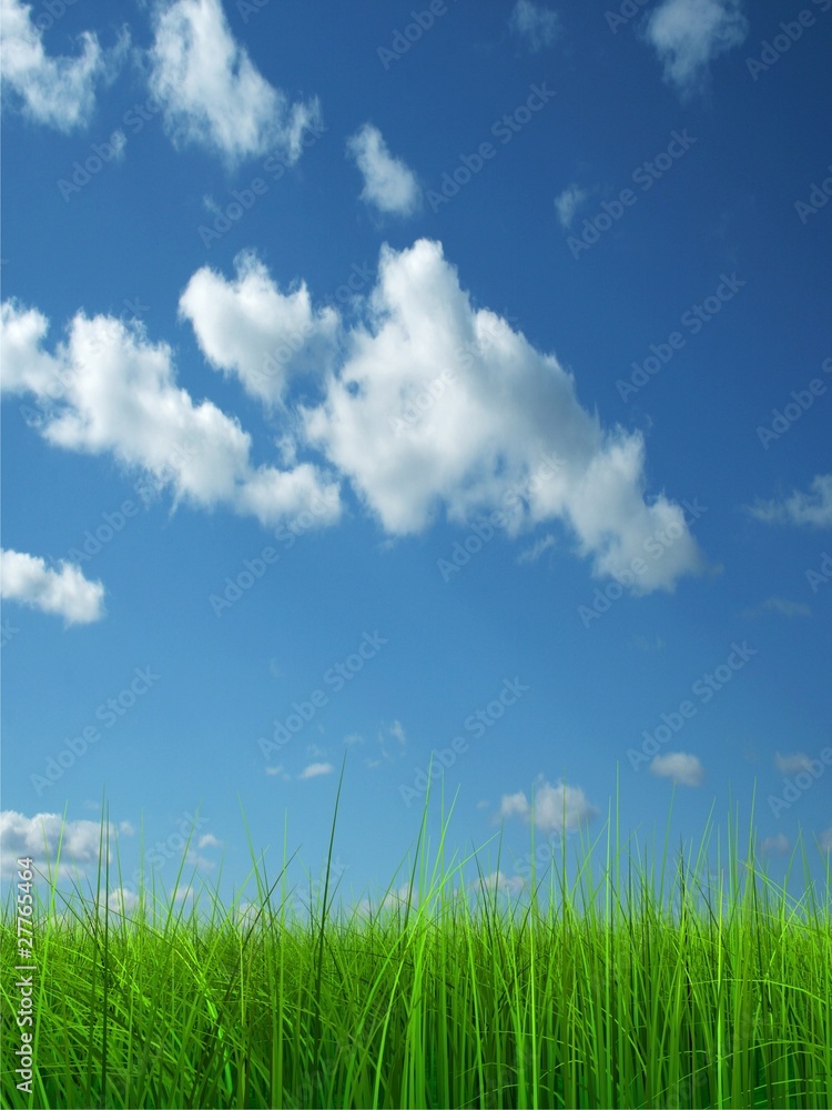Green grass over a blue sky background Green grass over a blue sky background