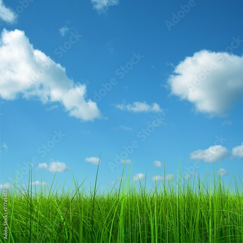 Green grass over a blue sky background