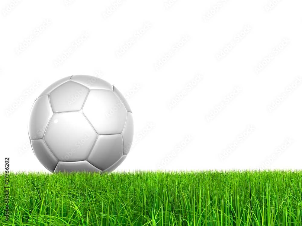 Fototapeta premium High resolution grass with soccer ball isolated