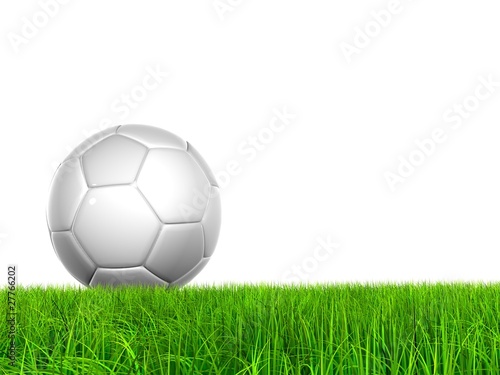 High resolution grass with soccer ball isolated