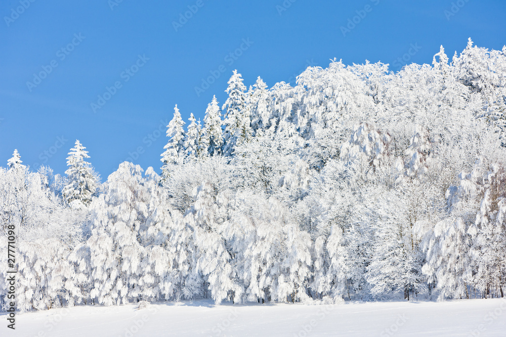 Jeseniky Mountains in winter, Czech Republic Jeseniky Mountains in winter, Czech Republic
