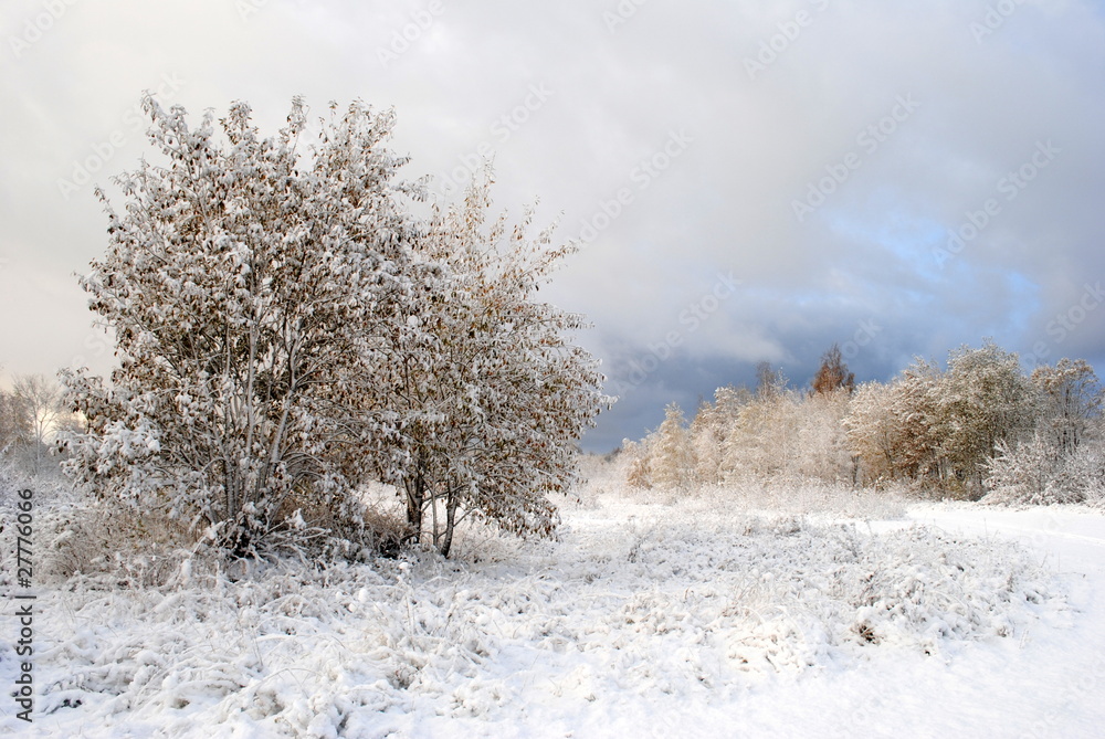 Winter Märchen StockFoto Adobe Stock