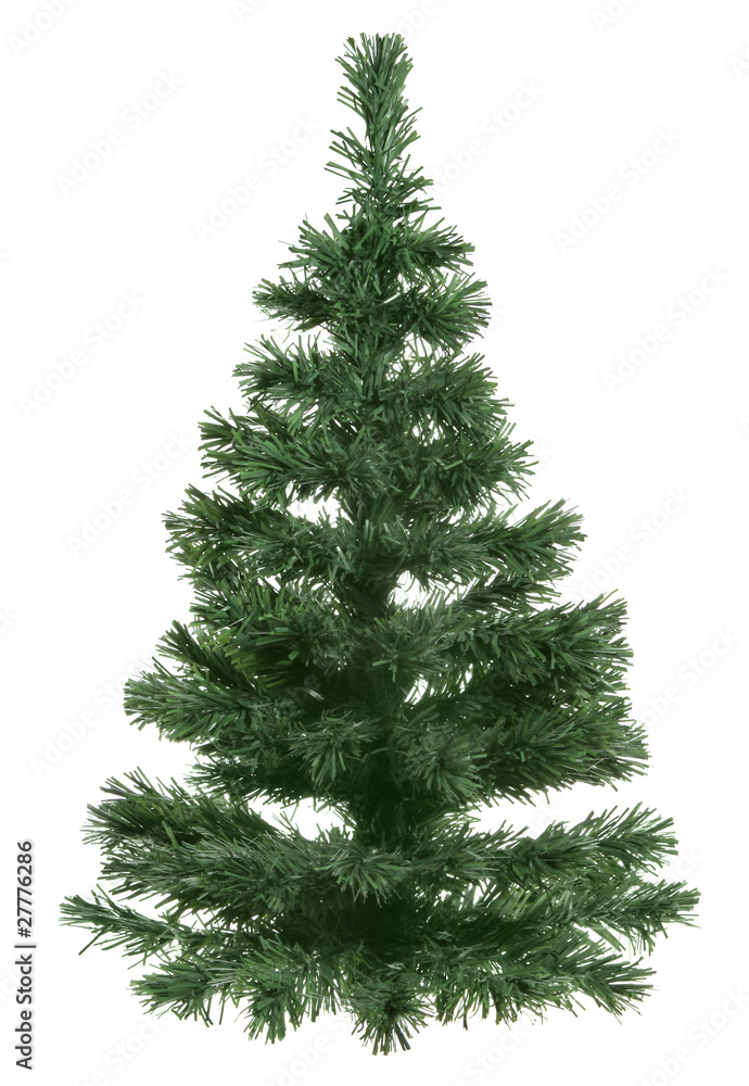 Fototapeta premium Little XMAS Tree
