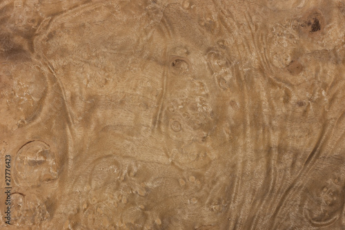wood texture-myrtle