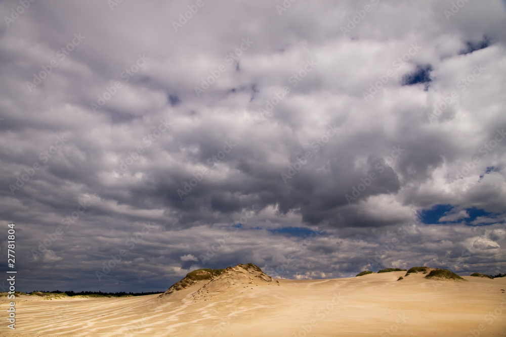 The moving sands in the Polish Desert near Leba
