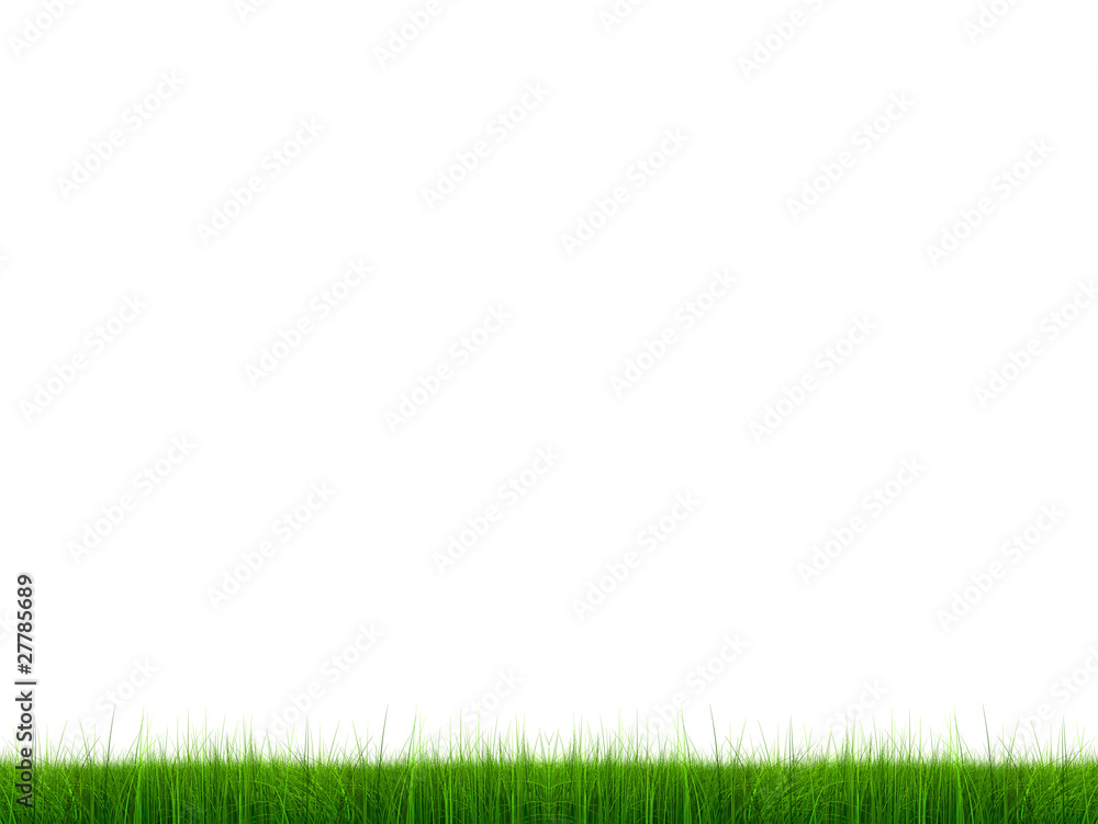 High resolution 3d green grass isolated on a white High resolution 3d green grass isolated on a white