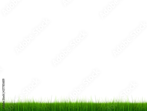 High resolution 3d green grass isolated on a white