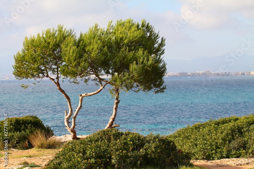 Palma de Mallorca - Balearic Islands
