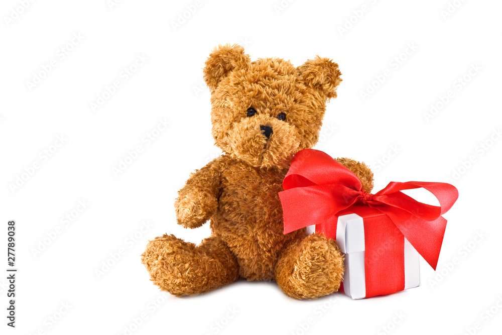 teddy teddy