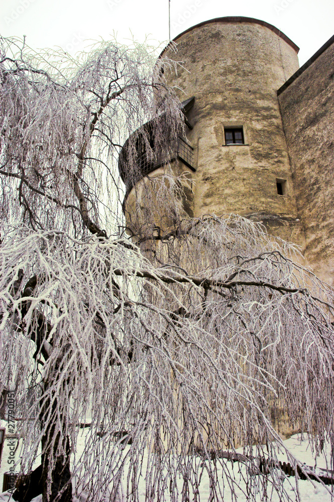 zamek w Salzburgu