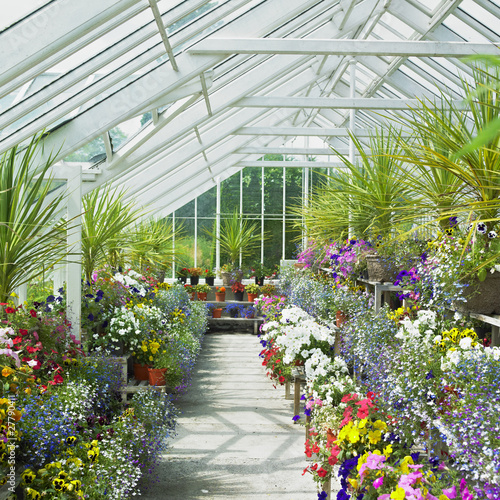 greenhouse  Birr Castle Gardens  County Offaly  Ireland