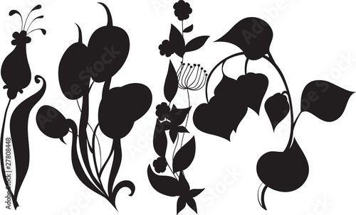 set of plants