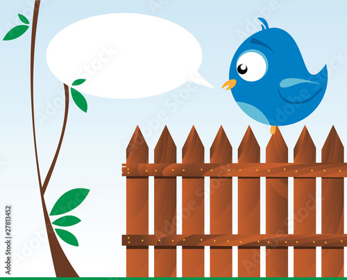 bird on a wooden fence