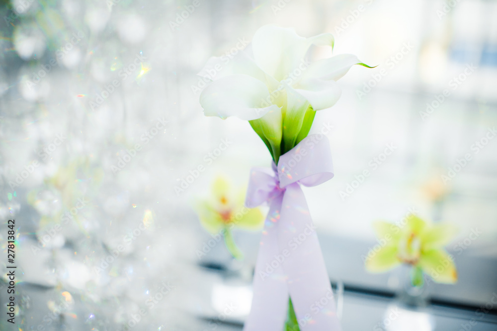 Obraz premium Цветы