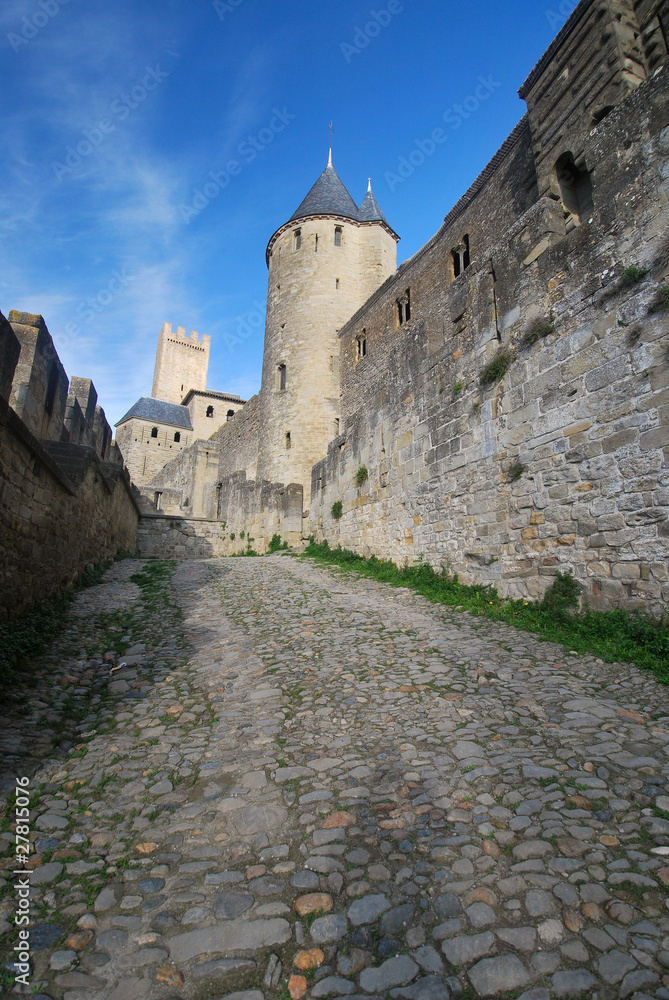 Dans Carcassonne