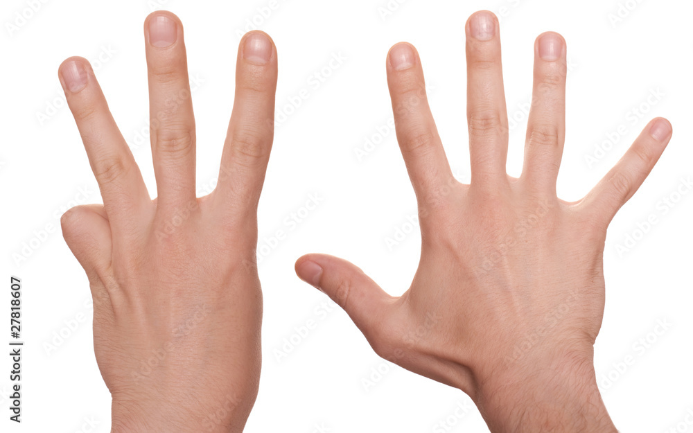 well shaped business man hand count isolated over white. eight well shaped business man hand count isolated over white. eight