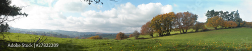Chagford Panoramic